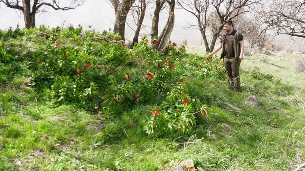 Bu insanlar neye bakıyor? Gece-gündüz nöbet tutuyorlar, ilk kez görenler şaştı kaldı! 21